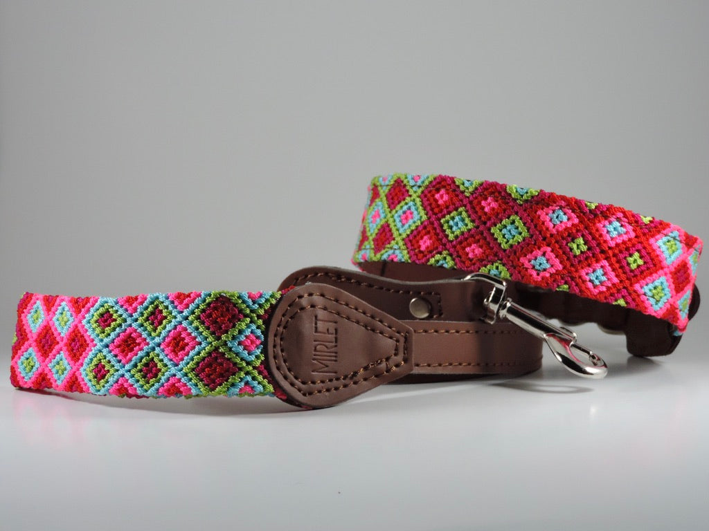 L - Collars with Leash