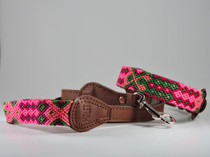 M - Collars with Leash