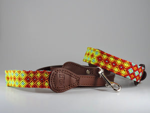 M - Collars with Leash